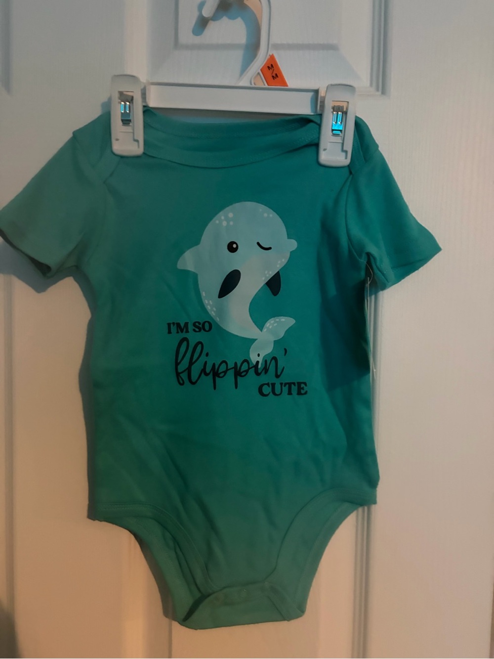 Baby Bodysuit 6-9 Month Lot